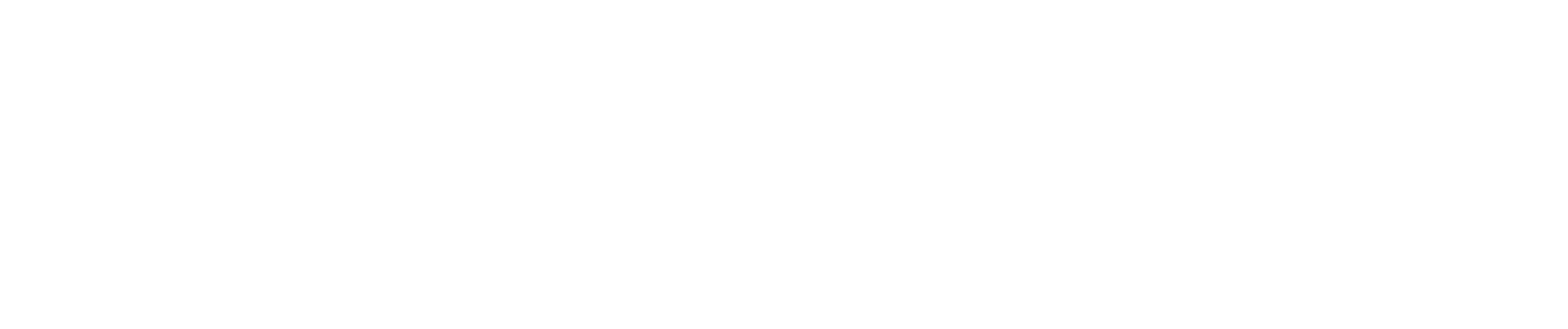 TEMPO Logo
