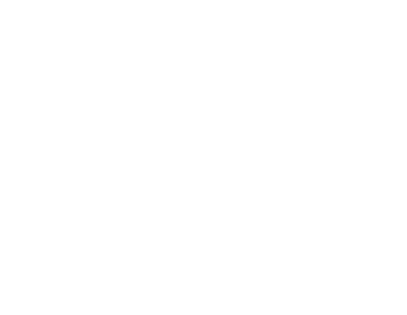 MYFJ Logo